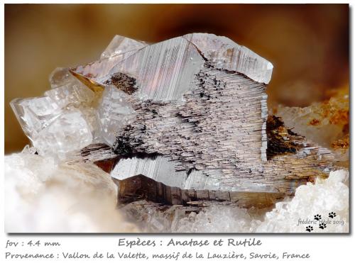Rutile on Anatase<br />Vallon de la Valette, Macizo La Lauzière, Saint-Jean-de-Maurienne, Saboya, Auvergne-Rhône-Alpes, Francia<br />fov 4.4 mm<br /> (Author: ploum)