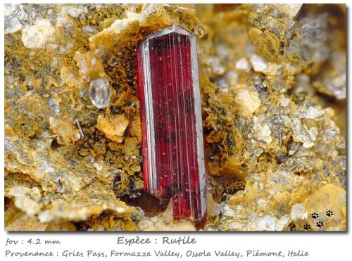 Rutile<br />Gries Glacier (Griesgletscher), Wallis (Valais), Switzerland<br />fov 4.2 mm<br /> (Author: ploum)