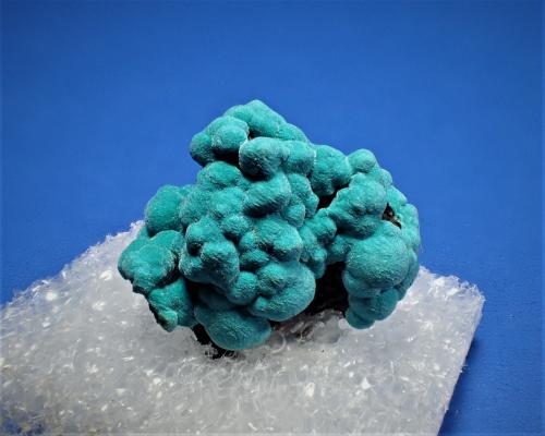 Rosasite<br />Mina Silver Bill, Grupo Costello Mine, Gleeson, Distrito Turquoise, Montes Dragoon, Condado Cochise, Arizona, USA<br />18 mm x 18 mm x 13 mm<br /> (Author: Don Lum)