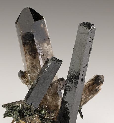 Aegirine, Quartz<br />Monte Malosa, Distrito Zomba, Malawi<br />88mm x 60mm. Largest aegirine crystal: 82mm long: largest quartz crystal: 88mm long.<br /> (Author: Carles Millan)