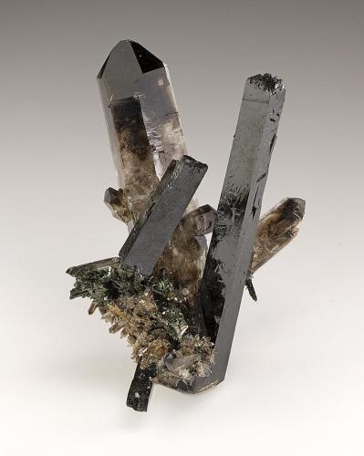 Aegirine, Quartz<br />Mount Malosa, Zomba District, Malawi<br />88mm x 60mm. Largest aegirine crystal: 82mm long: largest quartz crystal: 88mm long.<br /> (Author: Carles Millan)