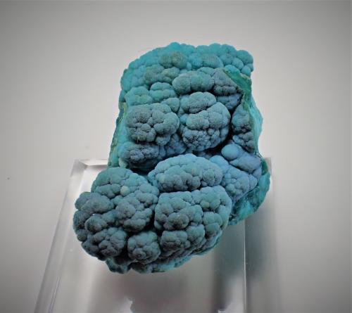 Chrysocolla<br />Twin Buttes Mine, Twin Buttes, Pima mining district, Sierrita Mountains, Pima County, Arizona, USA<br />33 mm x 23 mm x 19 mm<br /> (Author: Don Lum)