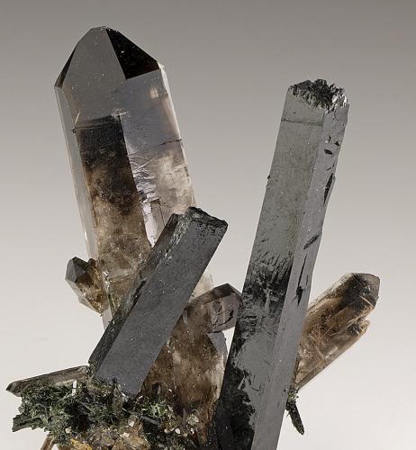 Aegirina, Cuarzo<br />Mount Malosa, Zomba District, Malawi<br />88mm x 60mm. Cristal principal de aegirina: 82mm de longitud. Cristal principal de cuarzo: 88mm de longitud<br /> (Autor: Carles Millan)