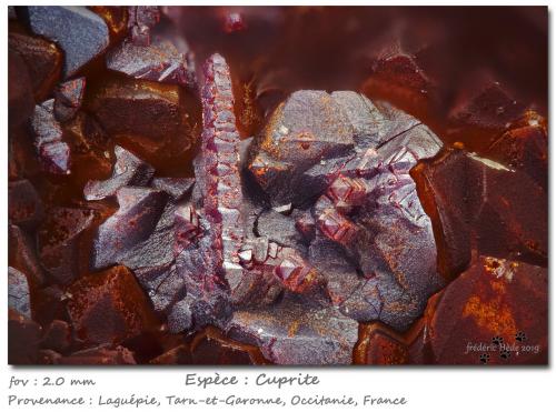 Cuprite<br />Laguépie, Quercy-Rouergue, Montauban, Tarn-et-Garonne, Auvergne-Rhône-Alpes, France<br />fov 2.0 mm<br /> (Author: ploum)