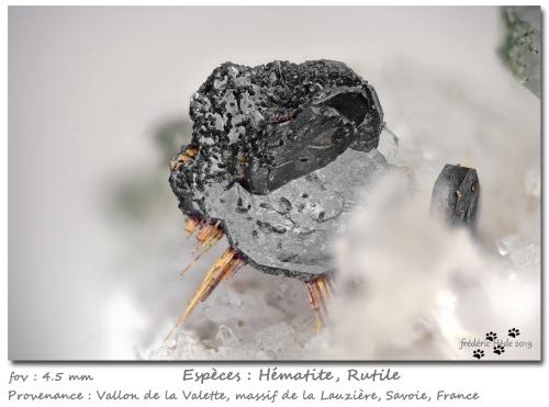 Hematite and Rutile<br />Vallon de la Valette, La Lauzière Massif, Saint-Jean-de-Maurienne, Savoie, Auvergne-Rhône-Alpes, France<br />fov 4.5 mm<br /> (Author: ploum)