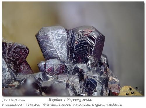 Pyrargyrite<br />Příbram, Región Bohemia Central, Bohemia, República Checa<br />fov 2.5 mm<br /> (Author: ploum)