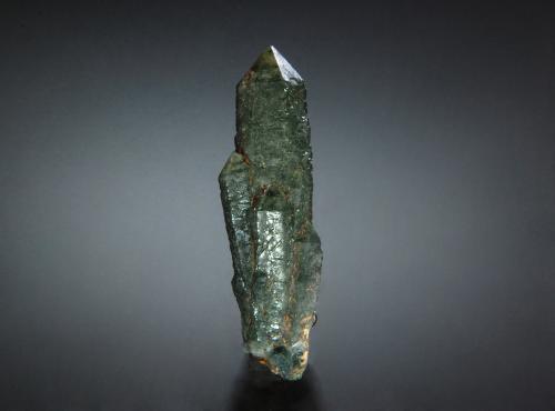 Quartz (variety prase)<br />Sinerechenskoe, Primorsky Krai, Rusia<br />2.3 x 8.1 cm<br /> (Author: crosstimber)