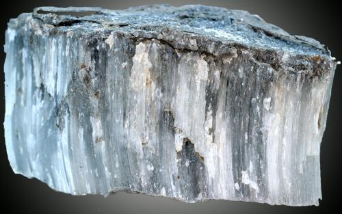 Celestina<br />Agost, Comarca Campo de Alicante, Alicante / Alacant, Comunidad Valenciana / Comunitat Valenciana, España<br />55 x 36 x 31 mm<br /> (Autor: José Luis Zamora)