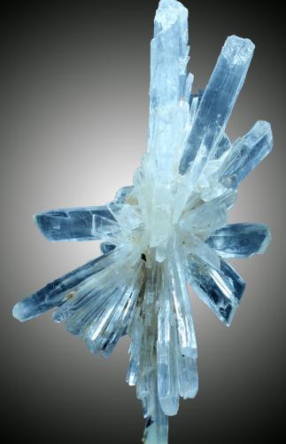 Yeso<br />Cantera de Angervilliers, Angervilliers, Dourdan, Palaiseau, Essone, Île-de-France, Francia<br />85 x 44 x 22 mm.<br /> (Autor: José Luis Zamora)