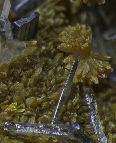 Orpiment, Baryte, Hutchinsonite<br />Quiruvilca Mine (La Libertad Mine), Quiruvilca District, Santiago de Chuco Province, La Libertad Department, Peru<br />FOV appr. 5 mm<br /> (Author: Rob Schnerr)