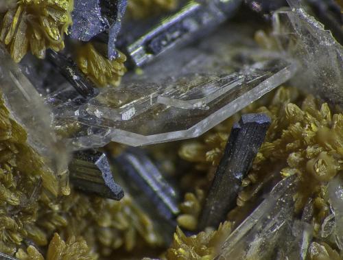 Orpiment, Baryte, Hutchinsonite<br />Quiruvilca Mine (La Libertad Mine), Quiruvilca District, Santiago de Chuco Province, La Libertad Department, Peru<br />FOV appr. 5 mm<br /> (Author: Rob Schnerr)