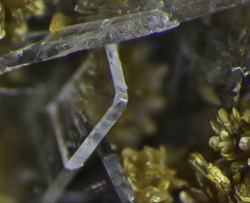 Orpiment, Baryte, Hutchinsonite<br />Mina Quiruvilca (Mina La Libertad), Distrito Quiruvilca, Provincia Santiago de Chuco, Departamento La Libertad, Perú<br />FOV appr. 5 mm<br /> (Author: Rob Schnerr)