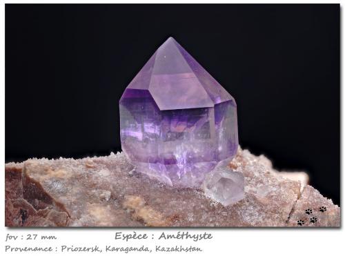 Quartz (variety amethyst)<br />Priozersk, Balkhash District, Karaganda Region, Kazakhstan<br />fov 27 mm<br /> (Author: ploum)