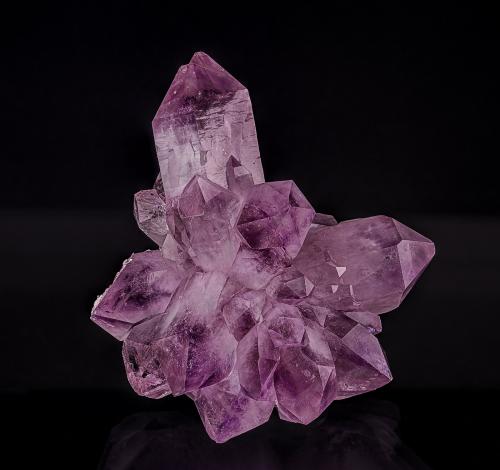 Quartz (variety amethyst)<br />Dalnegorsk, Dalnegorsk Urban District, Primorsky Krai, Russia<br />12.7 x 14.1 cm<br /> (Author: am mizunaka)