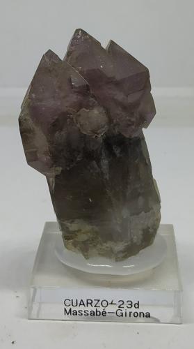 Cuarzo (variedad amatista), Cuarzo (variedad ahumado)<br />Pedrera Mas Sever, Massabè (Mas Ceber), Sils, Comarca La Selva, Gerona / Girona, Cataluña / Catalunya, España<br />6x3,5cm<br /> (Autor: Adri Rodríguez)
