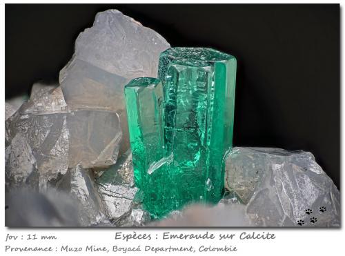 Beryl (variety emerald)<br />Muzo mining district, Western Emerald Belt, Boyacá Department, Colombia<br />fov 11 mm<br /> (Author: ploum)