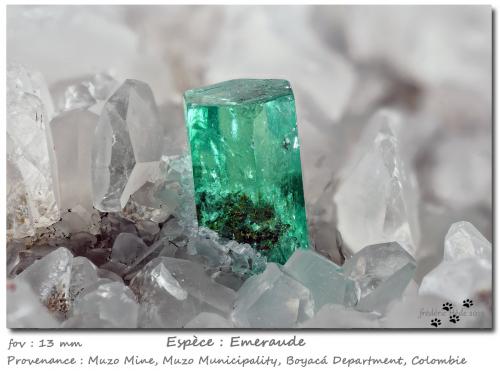 Beryl (variety emerald)<br />Muzo mining district, Western Emerald Belt, Boyacá Department, Colombia<br />fov 13 mm<br /> (Author: ploum)