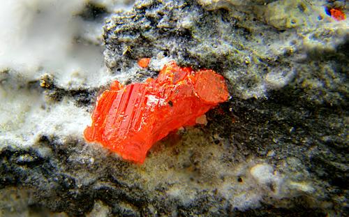 Oropimente y Rejalgar<br />Mina Las Cruces, Gerena-Guillena-Salteras, Comarca Sierra Norte, Sevilla, Andalucía, España<br />Campo de visión de 3 mm<br /> (Autor: Antonio Carmona)