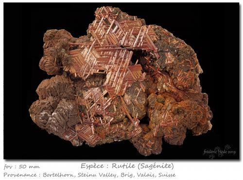 Rutile (variety sagenite)<br />Bortelhorn, Valle Steinu, Zona Simplón, Brig, Wallis (Valais), Suiza<br />fov 50 mm<br /> (Author: ploum)