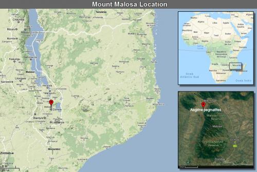 _¿Y dónde demonios está Mount Malosa? Pues por ahí, en la meseta de Zomba...<br /><br /><br /> (Autor: Carles Millan)