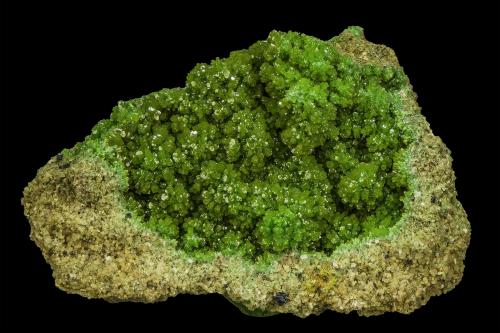 Pyromorphite<br />Gute Hoffnung Mine, (Bescheid), Bleibuir, Mechernich, Euskirchen, Eifel, Rhineland-Palatinate/Rheinland-Pfalz, Germany<br />3,5 x 2,0 x 2,0 mm<br /> (Author: Rob Schnerr)