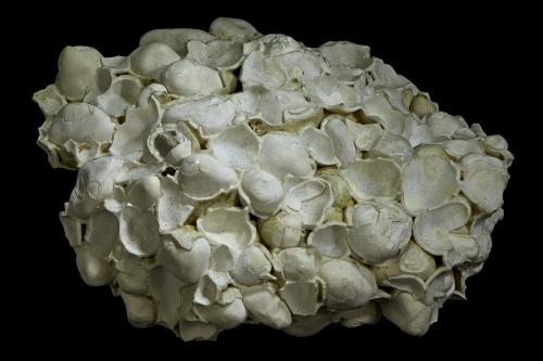 Aragonite (variety pisolite)<br />Karlovy Vary (Carlsbad), Karlovy Vary District, Karlovy Vary Region, Bohemia, Czech Republic<br />55 x 45 x 30 mm<br /> (Author: Rob Schnerr)