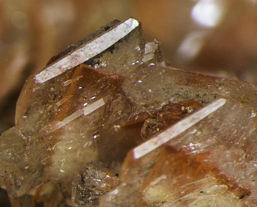 Baryte, Realgar<br />Baia Sprie, Maramures, Romania<br />FOV appr. 0,5 cm<br /> (Author: Rob Schnerr)