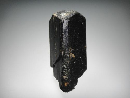 Schorlo (Chorlo)<br />Minas Tomkap tourmaline (Soklich), Yinnietharra, Condado Upper Gascoyne, Australia Occidental, Australia<br />7 x 4 cm.<br /> (Autor: Antonio P. López)