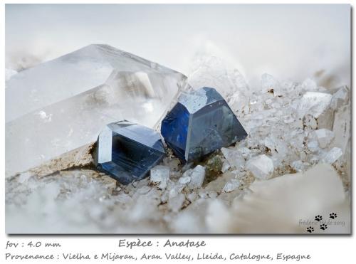 Anatase and Quartz<br />Valle de Nere, Güell d'Hornos (Uelh de Horno), Sèrra de Horno, Vielha e Mijaran (Viella i Mitjaran), Vall d'Aran, Lérida / Lleida, Cataluña / Catalunya, España<br /><br /> (Author: ploum)