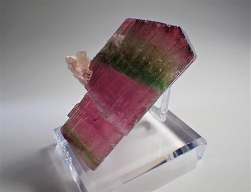 Elbaite (Tourmaline Group), Albite (variety cleavelandite)<br />Paprok, Kamdesh District, Nuristan Province, Afghanistan<br />115 mm x 67 mm x 55 mm<br /> (Author: Don Lum)