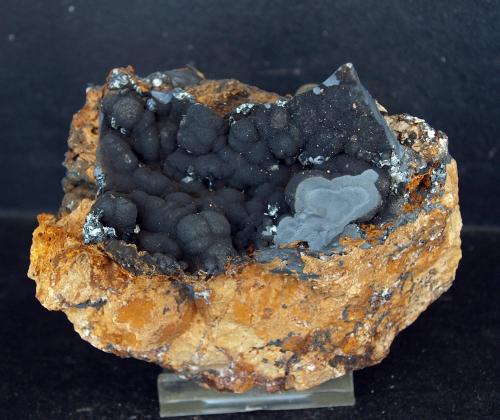 Psilomelana<br />Haití Mine, Cabezo de San Ginés, San Ginés de la Jara, Cartagena, Comarca Campo de Cartagena, Region of Murcia (Murcia), Spain<br />8 x 6.5 cm<br /> (Autor: Pedro Antonio)