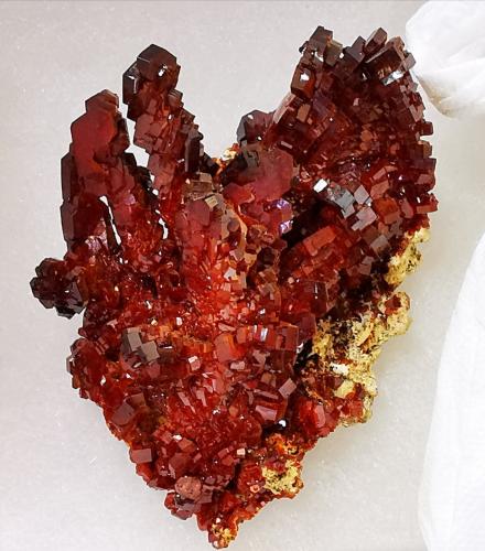 Vanadinite<br />Coud'a, Distrito minero Mibladen, Mibladen, Midelt, Provincia Midelt, Región Drâa-Tafilalet, Marruecos<br />9x8 cm aprox<br /> (Author: Enrique Llorens)