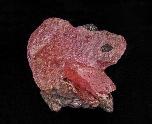 Rhodochrosite, Elbaite<br />Concesión Pederneira, São José da Safira, Governador Valadares, Vale do Rio Doce, Minas Gerais, Brasil<br />21 x 23 mm<br /> (Author: am mizunaka)