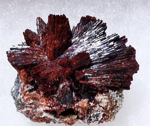 Erythrite<br />Bou Azzer mining district, Drâa-Tafilalet Region, Morocco<br />4x4 cm. approx<br /> (Author: Enrique Llorens)