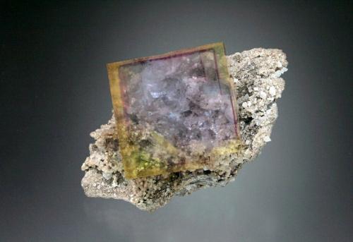 Fluorite<br />Penfield, Monroe County, New York, USA<br />6x4x4 cm overall size<br /> (Author: Jesse Fisher)