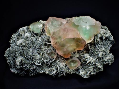 Fluorite, Muscovite<br />Chumar Bakhoor, Hunza Valley, Nagar District, Gilgit-Baltistan (Northern Areas), Pakistan<br />36 cm x 24 cm<br /> (Author: Don Lum)