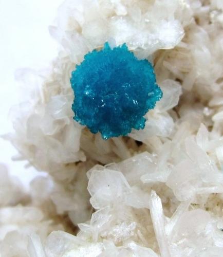 Cavansite, Stilbite<br />Wagholi Quarry, Wagholi, Pune District (Poonah District), Maharashtra, India<br />FOV 2 cm<br /> (Author: Tobi)