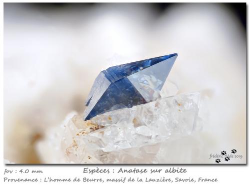 Anatase on Albite<br />L'Homme de Beurre, Macizo La Lauzière, Saint-Jean-de-Maurienne, Saboya, Auvergne-Rhône-Alpes, Francia<br />fov 4.0 mm<br /> (Author: ploum)