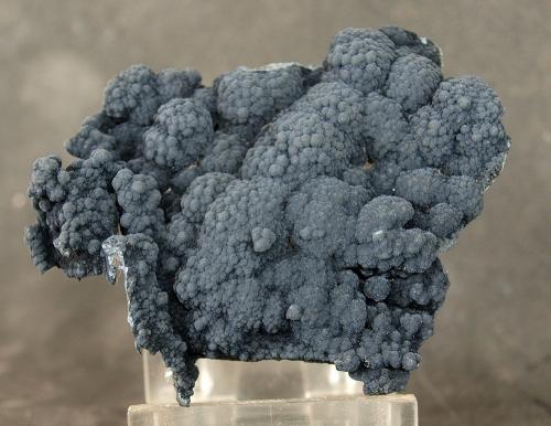 Psilomelana<br />Haití Mine, Cabezo de San Ginés, San Ginés de la Jara, Cartagena, Comarca Campo de Cartagena, Region of Murcia (Murcia), Spain<br />6.5 x 6 cm<br /> (Autor: Pedro Antonio)