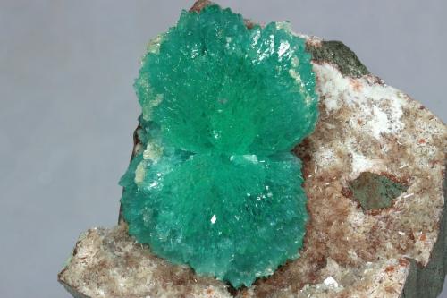 Fluorapophyllita-(K) (Apofilita)<br />India<br />25x40 mm<br /> (Autor: Ramon A  Lopez Garcia)