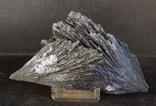 Cianita<br />Ribeirão das Folhas, Minas Novas, Vale do Jequitinhonha, Minas Gerais, Brasil<br />11 x 6 cm<br /> (Autor: Pedro Antonio)