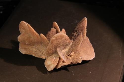 Gypsum<br />Algeria<br />86mm x 54mm x 46mm<br /> (Author: Firmo Espinar)