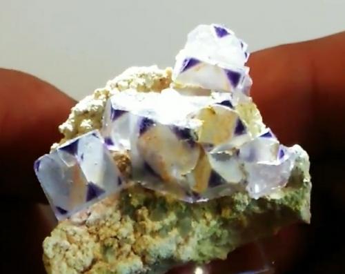 Fluorite<br />Astro Pocket No. 2, Pikes Peak, El Paso County, Colorado, USA<br />4.1 cm<br /> (Author: Bob Carnein)