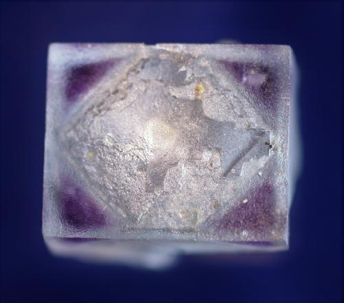 Fluorite<br />Astro Pocket No. 2, Pikes Peak, El Paso County, Colorado, USA<br />1.3 cm<br /> (Author: Bob Carnein)
