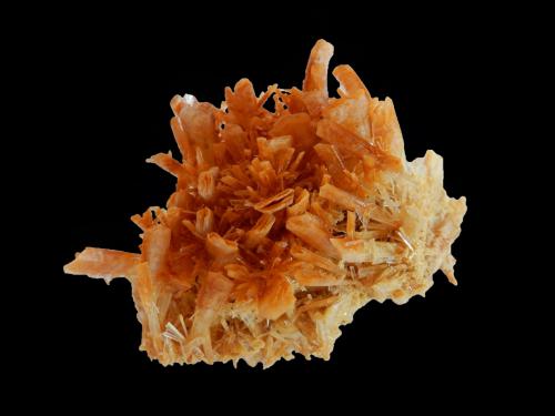 Gypsum (variety selenite)<br />Pernatty Lagoon, Stuart Shelf, South Australia, Australia<br />100x60x50 mm<br /> (Author: Dany Mabillard)