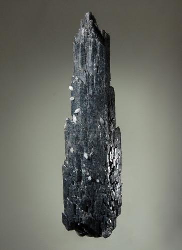 Gypsum<br />Herja Mine, Chiuzbaia, Baia Sprie, Maramures, Romania<br />2.5 cm x 9.0 cm<br /> (Author: Michael Shaw)