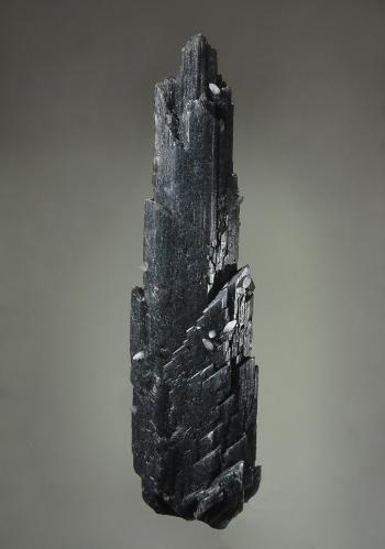 Gypsum<br />Herja Mine, Chiuzbaia, Baia Sprie, Maramures, Romania<br />2.5 cm x 9.0 cm<br /> (Author: Michael Shaw)