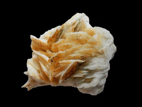 Baryte<br />Saint-Laurent-le-Minier, Le Vigan, Gard Department, Occitanie, France<br />80x60x40 mm<br /> (Author: Dany Mabillard)