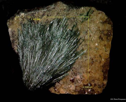 Gormanita<br />Zona Rapid Creek, distrito minero Dawson, Territorio Yukon, Canadá<br />2´236 x 2´161 mm.<br /> (Autor: Jesus Franquesa Baucells)