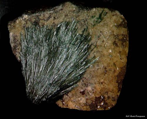 Gormanita<br />Zona Rapid Creek, distrito minero Dawson, Territorio Yukon, Canadá<br />2´236 x 2´161 mm.<br /> (Autor: Jesus Franquesa Baucells)